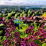 Kalkberg