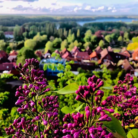 Kalkberg